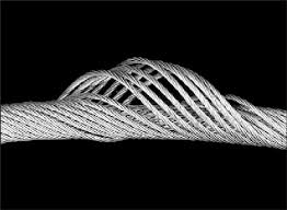 cable cage d'oiseau